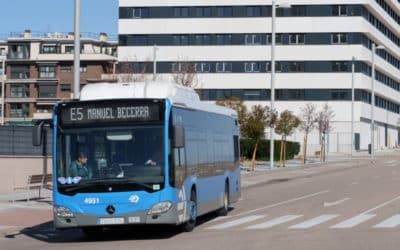 Estos son los desvíos de autobús por las cabalgatas de El Cañaveral