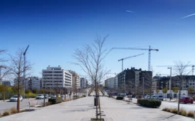 Guía de El Cañaveral