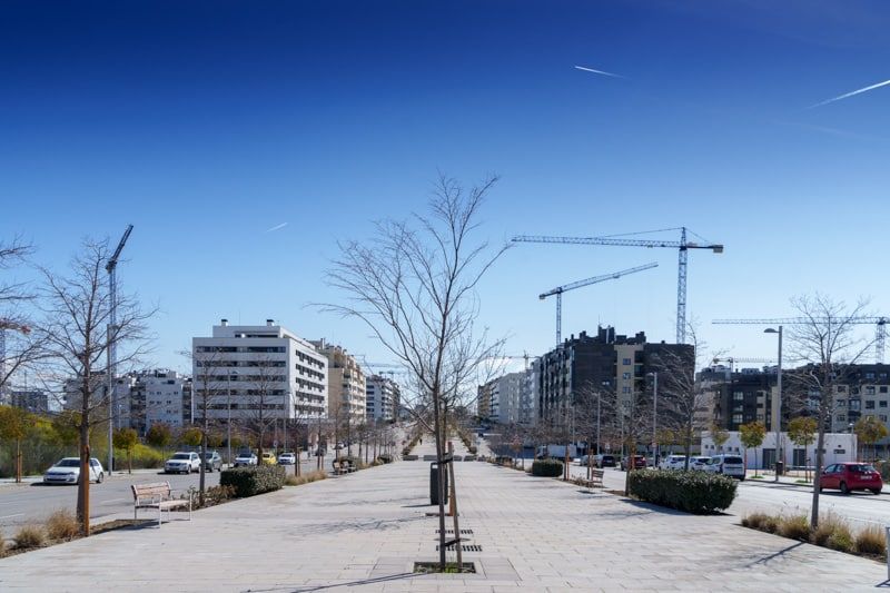 Guía de El Cañaveral