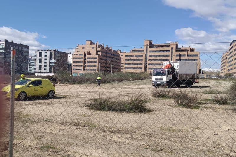 Inicio de las obras de construcción del nuevo Centro de Educación Infantil y Primaria de El Cañaveral (fuente: Nuevo Sureste).