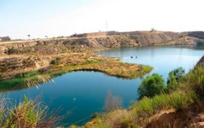 Conservacionistas de las lagunas de Ambroz dudan que la Centralidad del Este sea compatible con el ecosistema de la zona