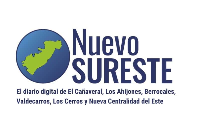 Logotipo del periódico Nuevo Sureste