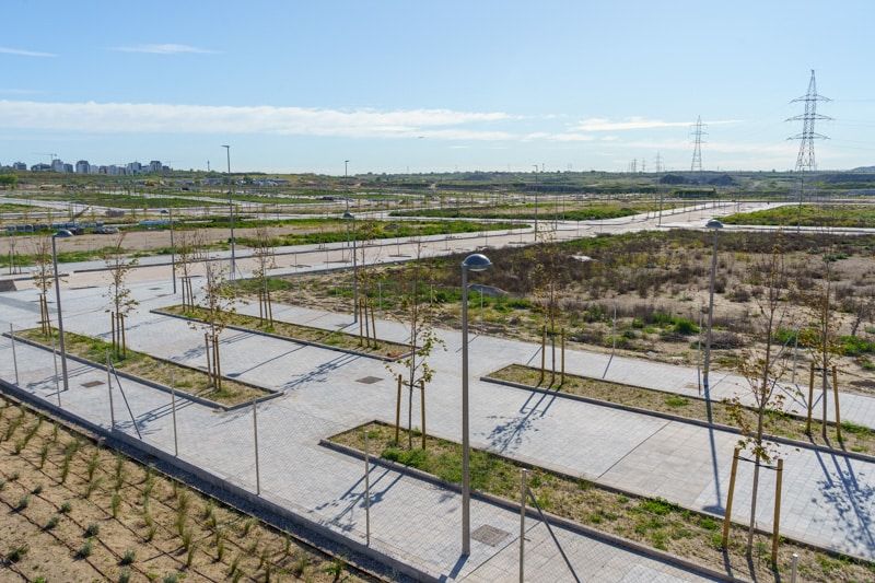 Obras de urbanización del desarrollo de Los Ahijones que cuentan con el arbolado ya plantado (foto: Fernando Galán).