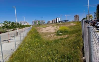 El colegio concertado de El Cañaveral recibe el permiso para iniciar sus obras