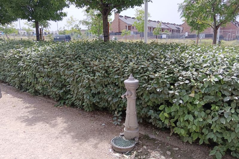 Fuente pública en la calle de Victoria Kent (fuente: Nuevo Sureste).