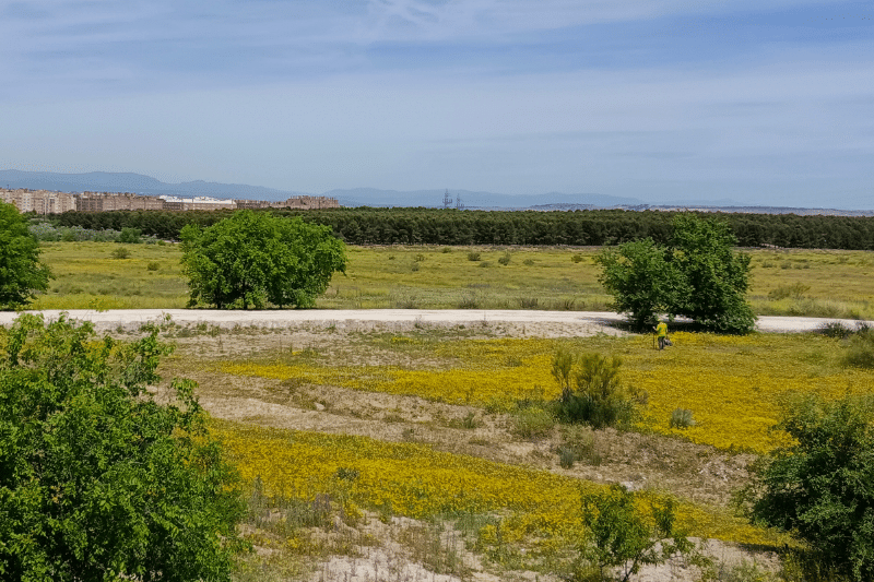 Catas en la parcela que acogerá el centro de medianas superficies de El Cañaveral (fuente: Nuevo Sureste).