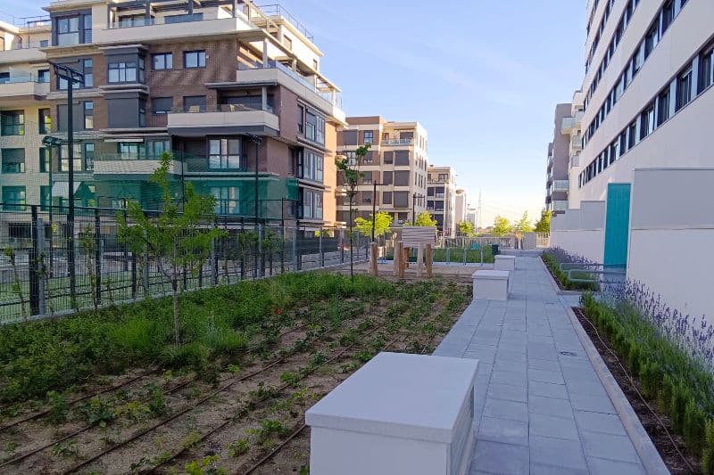 Promoción de la Empresa Municipal de la Vivienda y el Suelo de Madrid Cañaveral 4 (fuente: Nuevo Sureste).