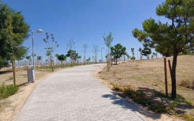 El Ayuntamiento concluye la revegetación del parque norte de El Cañaveral