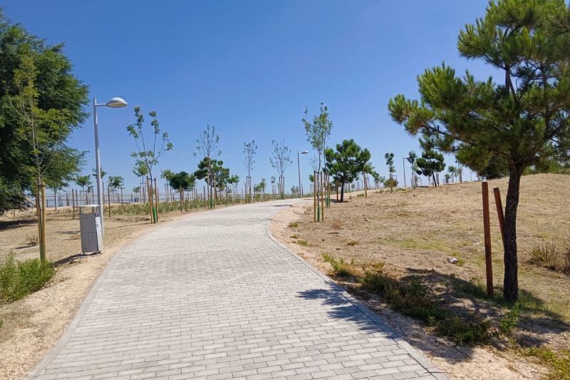 El Ayuntamiento concluye la revegetación del parque norte de El Cañaveral