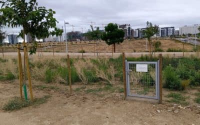 Parques forestales y casi de ‘secano’ para unos desarrollos del sureste sostenibles