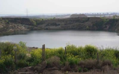 Madrid se une a la mesa de trabajo para promover el Corredor Verde del Este junto a Coslada y San Fernando de Henares