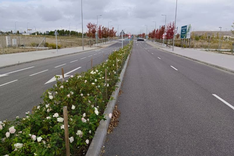 Vial 8 de Los Berrocales (fuente: Nuevo Sureste)