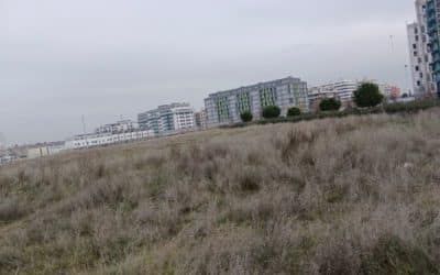 Sanidad tramitará el estudio geotécnico y el proyecto básico del centro de salud de El Cañaveral en 2025