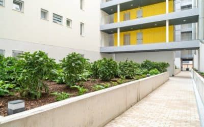 Sorteo de EMVS Madrid: 201 pisos de alquiler asequible en El Cañaveral ya tienen inquilinos