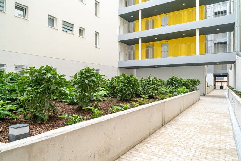 Promoción de vivienda Cañaveral 6 de EMVS Madrid (fuente: EMVS Madrid)