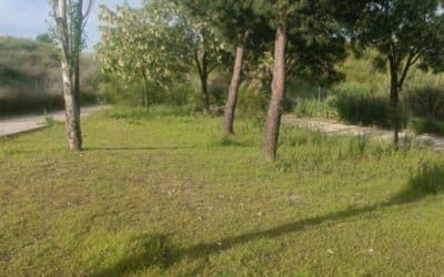 Adiós a los vertederos junto al Cerro Almodóvar
